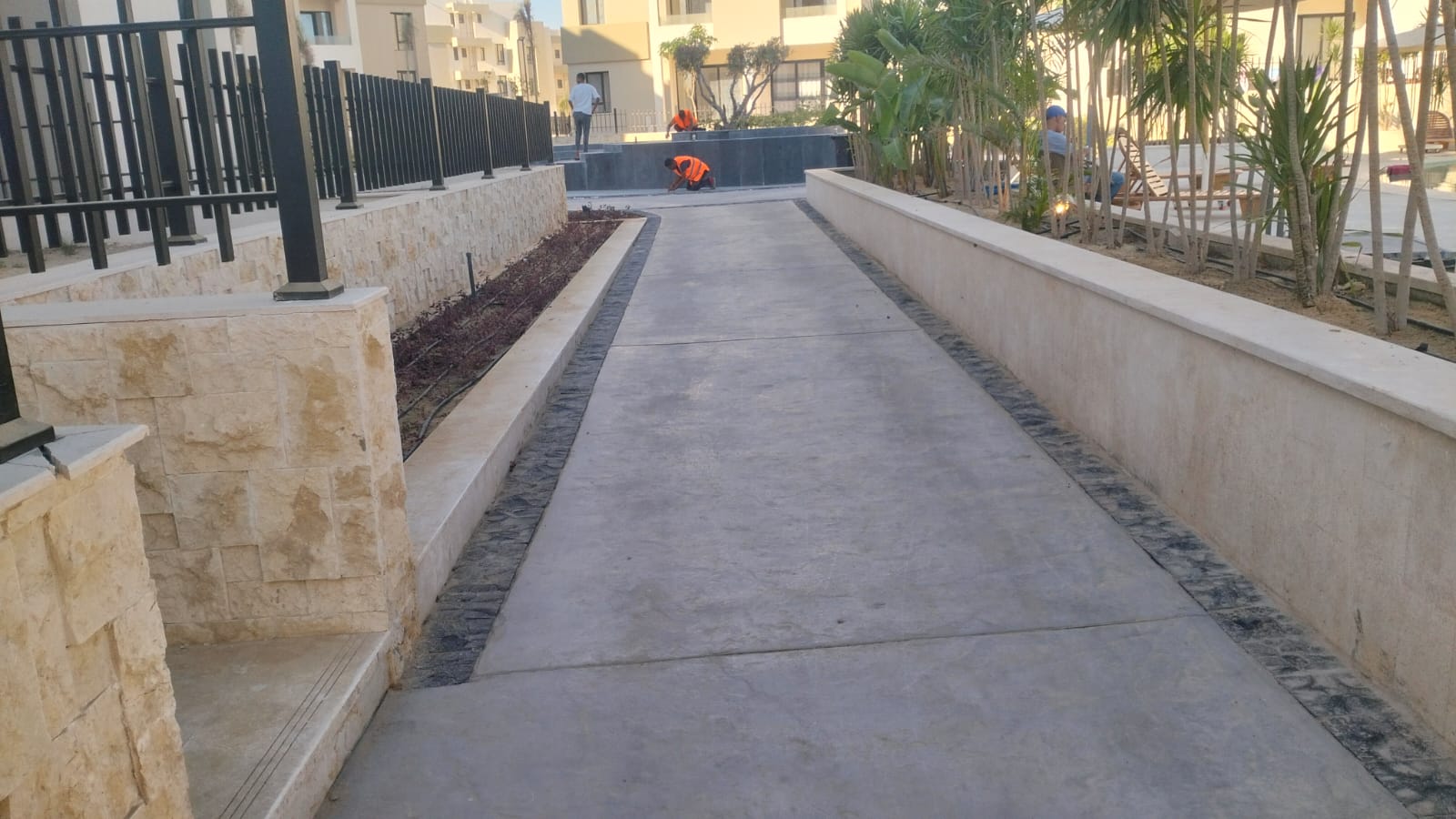 صورة 2